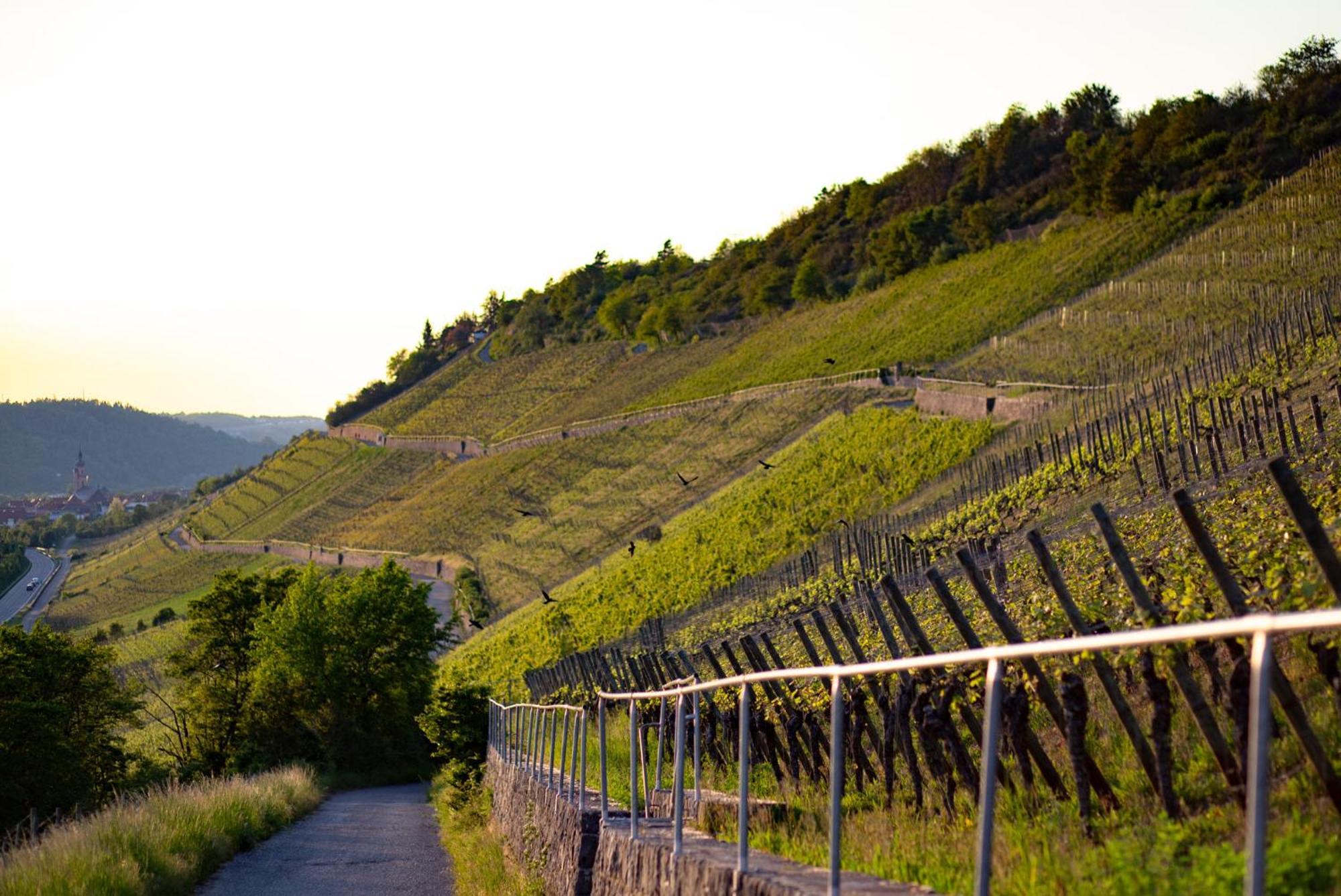 Weingut Leininger Ferienwohnungen Eibelstadt Bagian luar foto