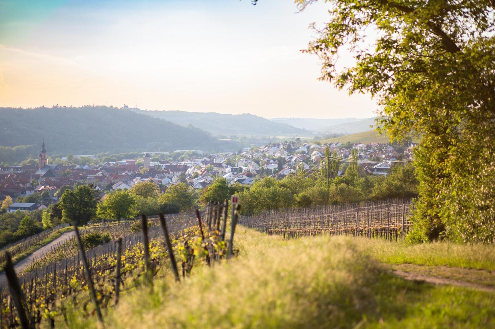 Weingut Leininger Ferienwohnungen Eibelstadt Bagian luar foto